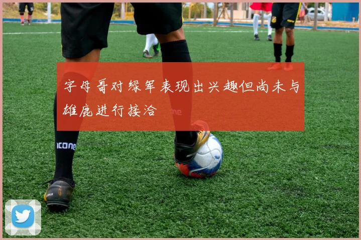 字母哥对绿军表现出兴趣但尚未与雄鹿进行接洽