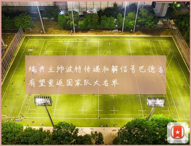 瑞典主帅波特传递和解信号巴德吉有望重返国家队大名单