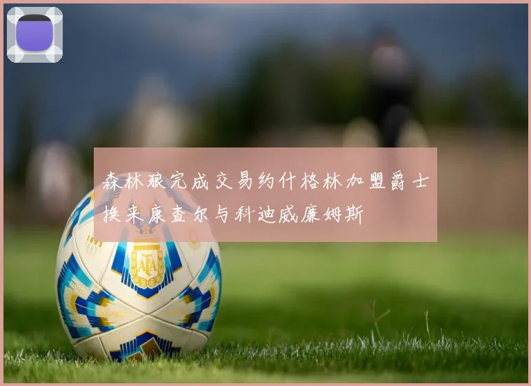 森林狼完成交易约什格林加盟爵士换来康查尔与科迪威廉姆斯